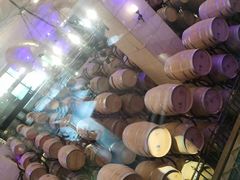 -北京张裕爱斐堡酒庄