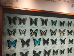 -吉林省自然博物馆