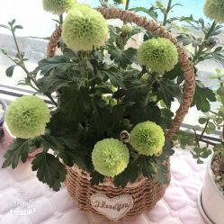-爱美睫美甲会馆