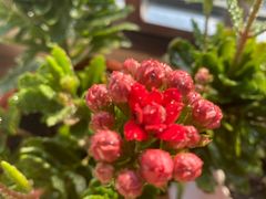 -大桶大足浴(江桥店)