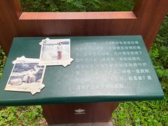 -华侨城湿地公园