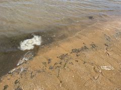 -东戴河风景区-止锚湾