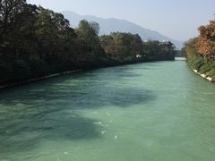 -印象·浅水湾(百乐门大厦店)