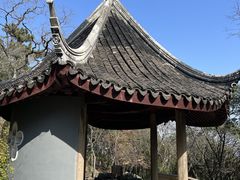 -香雪海