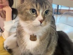 -喵小馆·猫咖狗咖猪咖·饮品店