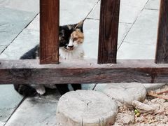 -龙达温泉生态城