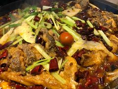 -老板恋上鱼(恒隆广场店)