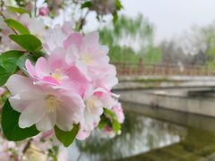 -元大都城垣遗址公园