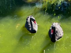 -惠州金海湾嘉华度假酒店