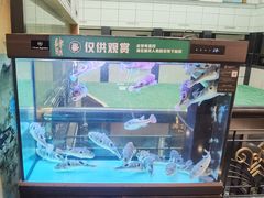 -肆月河豚·淮扬菜·湘菜(华天店)