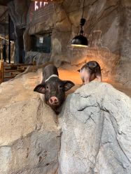 -Zoolung Zoolung动物主题公园(海信广场店)