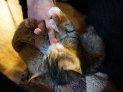 -不舍昼夜咖啡馆