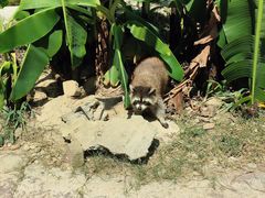 -泉州海丝野生动物世界