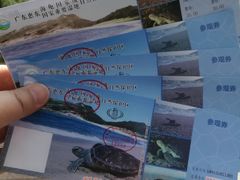 -广东惠东海龟国家级自然保护区