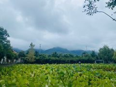 -长安上水缘度假庄园