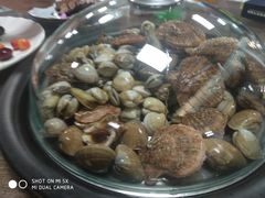 -睿柏云酒店-餐厅