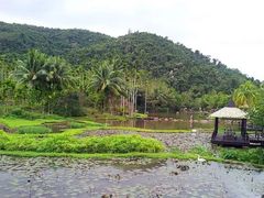 -西涌国际滨海旅游区