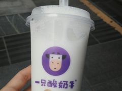 -一只酸奶牛(八一路店)