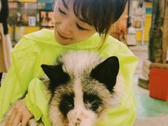 -宫城藏王狐狸村