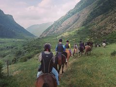 -山丹皇家马场