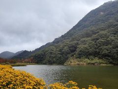 -广州市石门国家森林公园