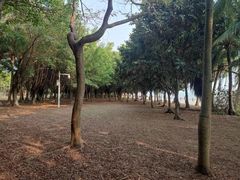 -深圳湾公园(南山区)