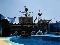 -海合安青岛极地海洋公园