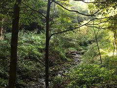 -黄公望隐居地