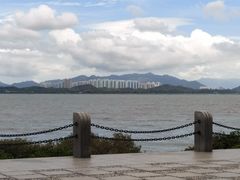 -福田红树林生态公园