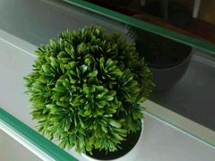 -嘉和一品粥(首经贸店)
