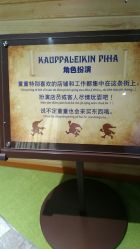 -幻贝家儿童乐园(哈尔滨王府井店)