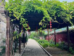 -养马岛旅游度假区