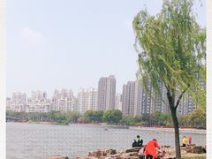 -南翔镇银翔湖公园