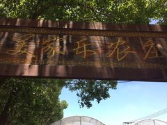 -美家乐农庄·露营·团建(大治路店)