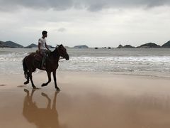 -大京沙滩
