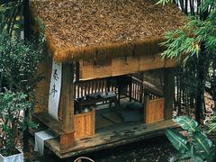 -扫雪煮茶(西村店)