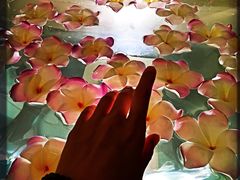 -凯利酒店自助餐(元美中路店)