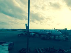 -Ministry of Crab(科伦坡店)