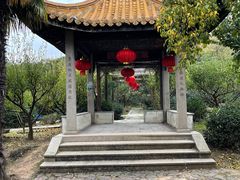 -雨花胜境