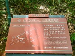 -九曜山
