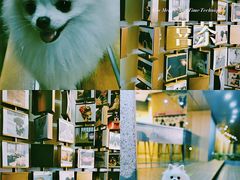 -喜茶(深圳喜荟城店)