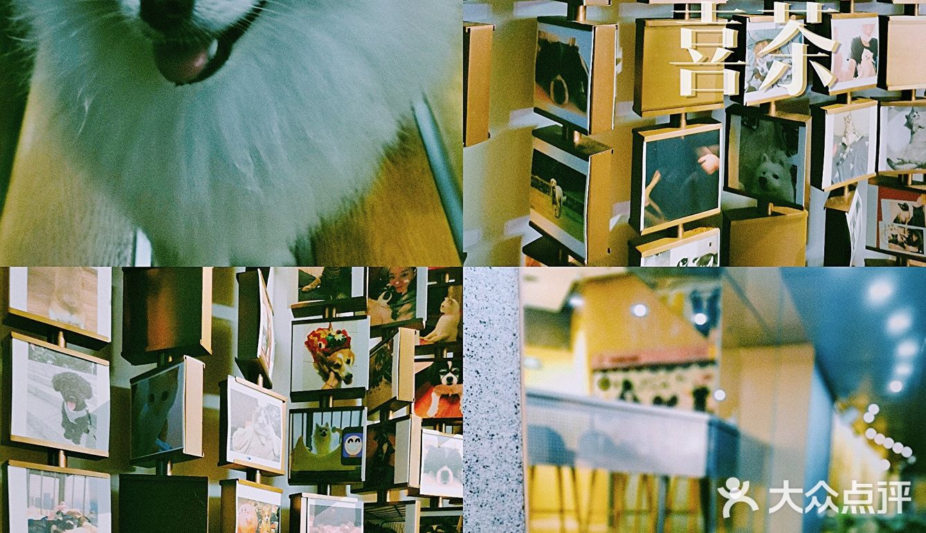 🥤听说喜茶又出新品，我请你喝～