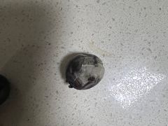 -沃尔玛购物广场(霖雨路店)