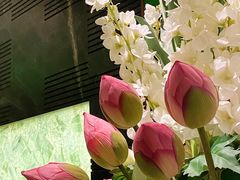 -金链花·泰国餐厅(国贸店)