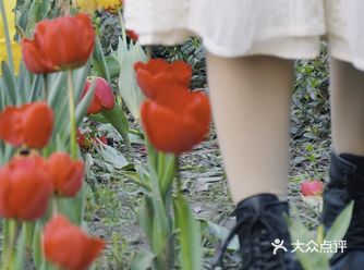 杭州小众赏花地——南江公园