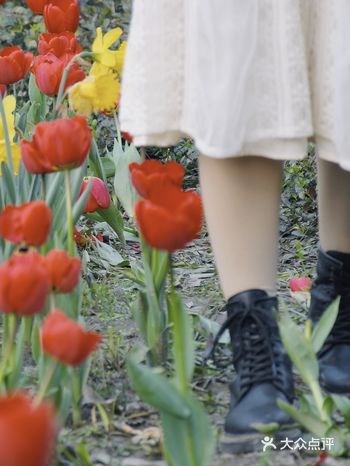 杭州小众赏花地——南江公园