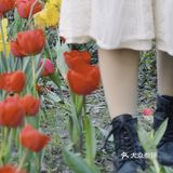 杭州小众赏花地——南江公园