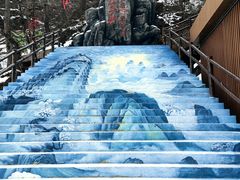 -秦岭天竺山景区