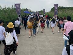 -上海国际音乐村