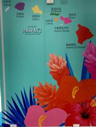 点击看大图 -呼拉汇舞蹈生活馆 Hawaii Hula&Tahiti Dance Studio